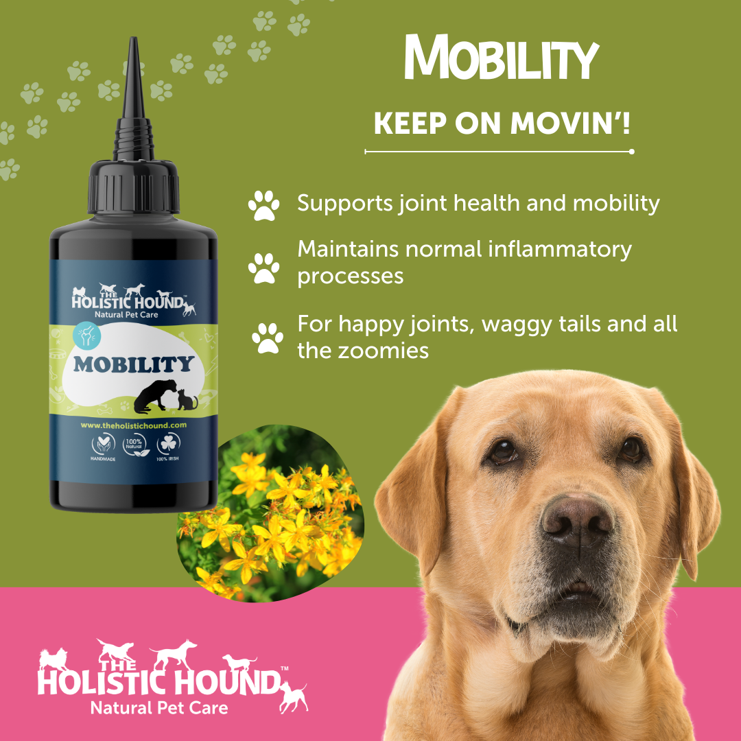 Mobility | 100% natural joint supplement for dogs | Holistic Hound